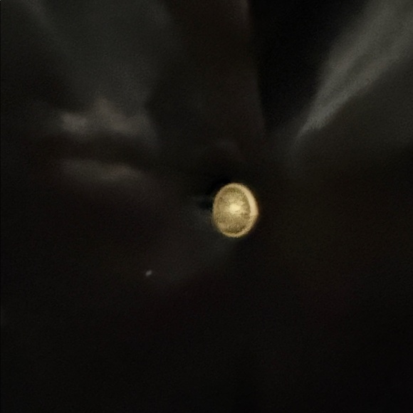 Express Black Velvet Single-Button Blazer - Picture 4 of 11